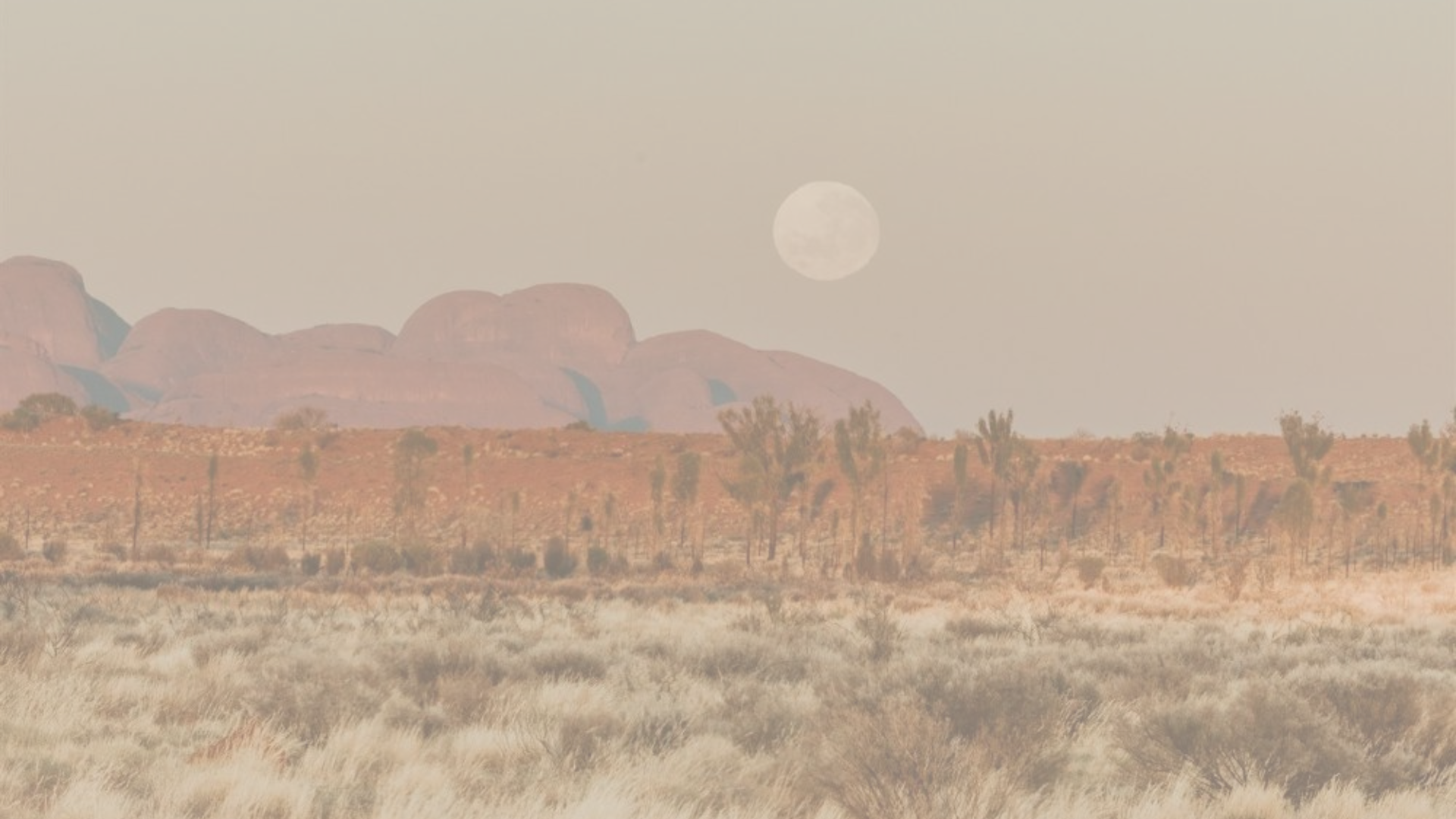Desert moonrise